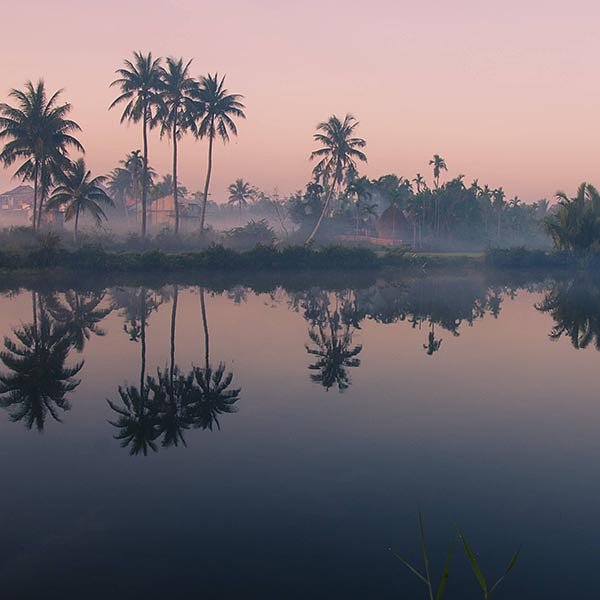 Best places to visit in Vietnam_hoi an palm trees