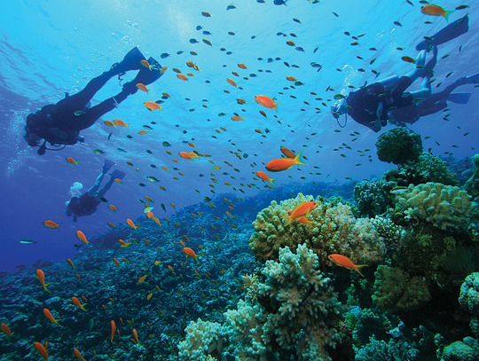 Scuba Diving