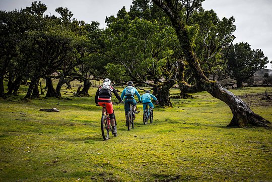 Cycling Fanal e Piquenique