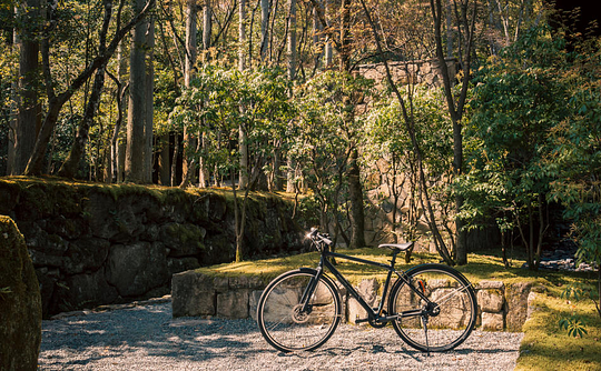 Exploring the Ancient City by Bicycle