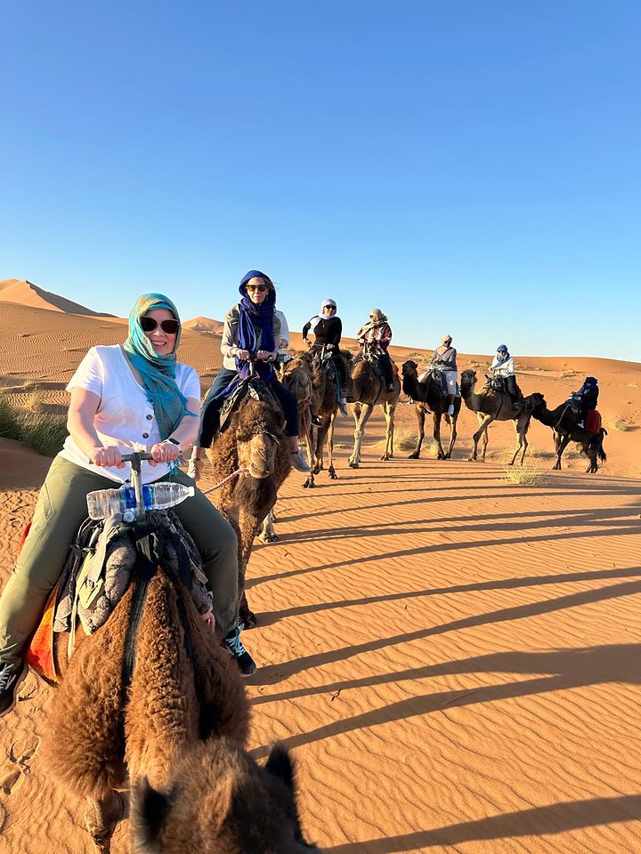 CamelrideverticalMorocco20251