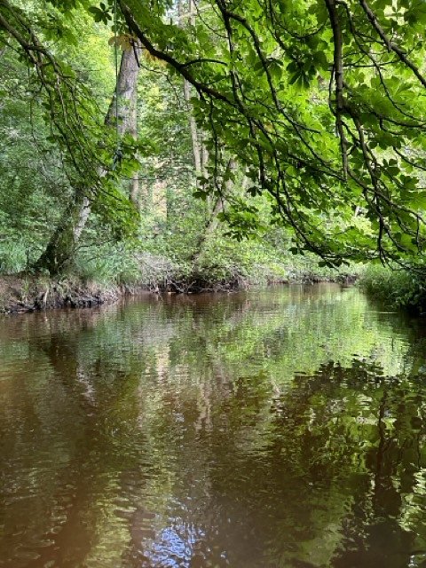 Right on the river!