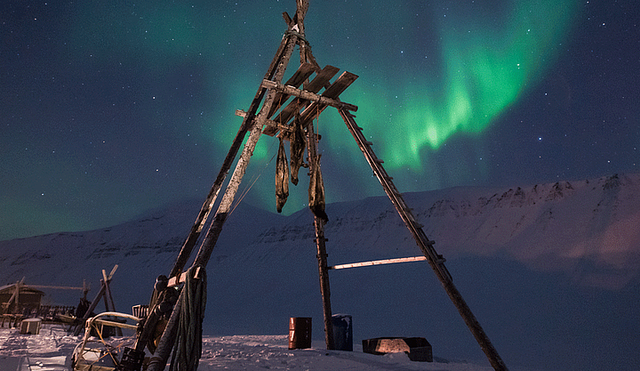 The Polar Night
