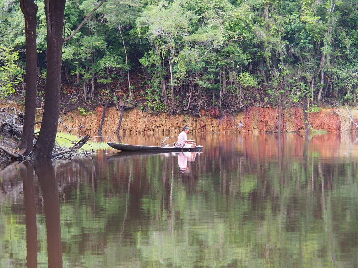 The Amazon