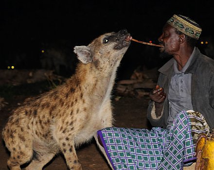 Hyena Men