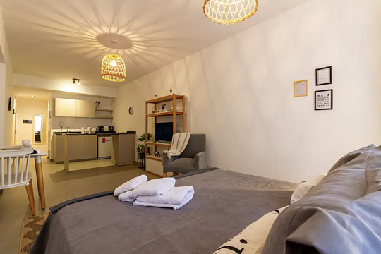 Studio style apartment, 1C
