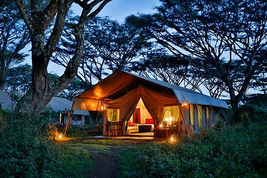 Ngorongoro Tented Camp