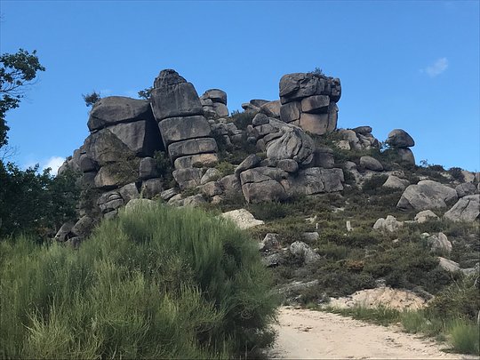 Wild Hiking 