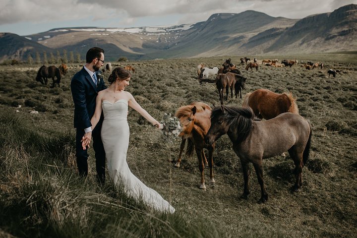 nicoledaackephotographydestinationweddinginicelandcozylodgemountainsicelandichorseswaterfallelopementphotosicelanda