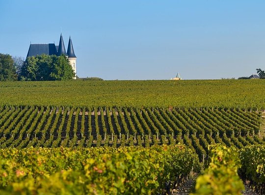 Tour the vineyards and wine chateaux