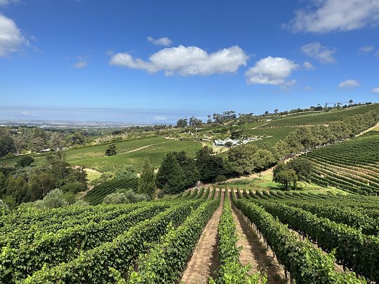 Flavours of Cape Town