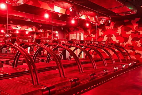Move your body at Barry's 