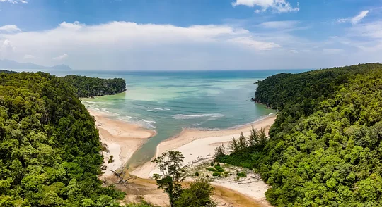 Explore the natural beauty of Bako National Park