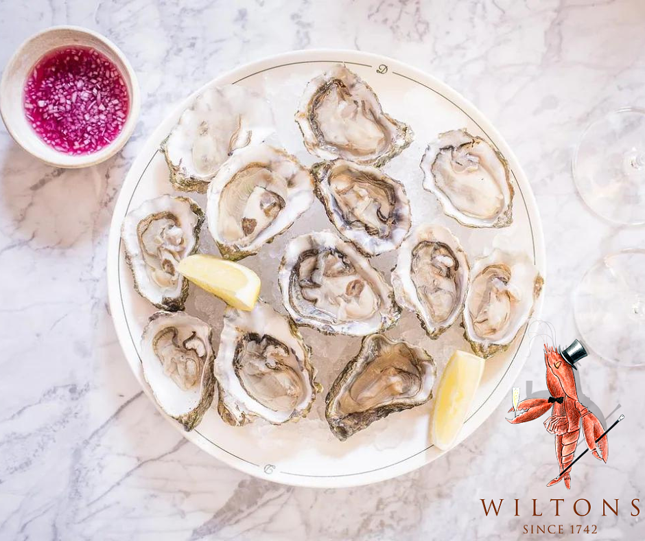 Wiltons “Oyster bar” “oysters London” “seafood London” “Wiltons London”