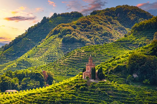 Enjoy the UNESCO-recognized Prosecco Hills with guided tastings and vineyard visits