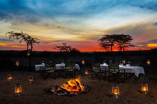 Starry Nights in Maasai Mara