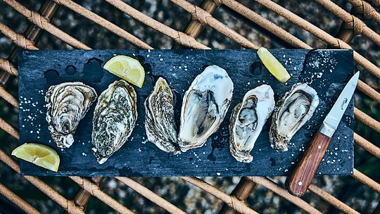 Enjoy Brittany's finest oysters at a Cancale farm