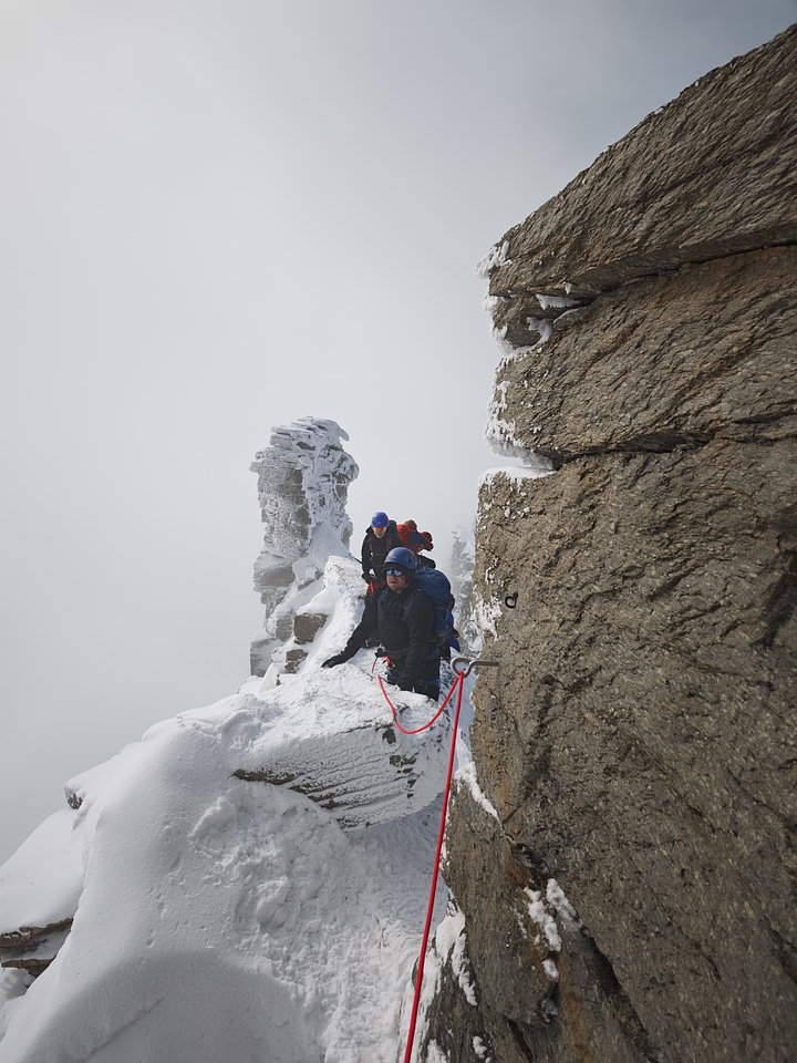 granparadisokookoo6