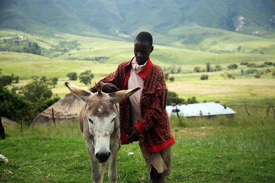 Lesotho 