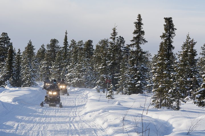 groupofpeopleonsnowmobilesjukkasjarviswede20250403134918utc