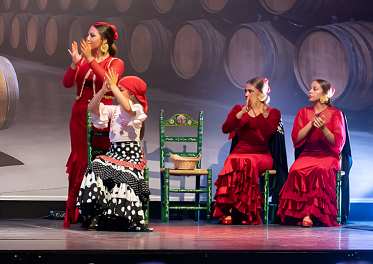 Espacio reservado en caseta con espectaculo flamenco