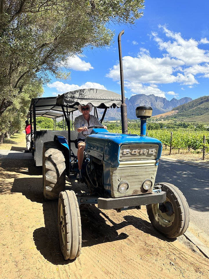 Full day Franschhoek Wine Tram
