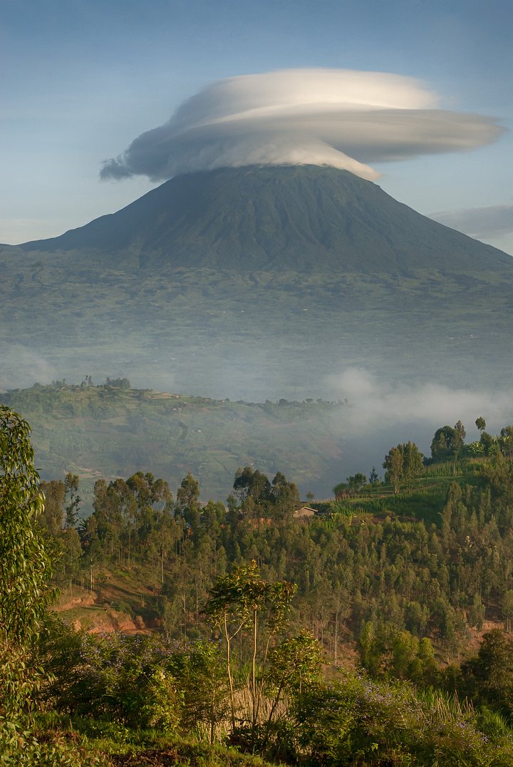 iStock1254065343