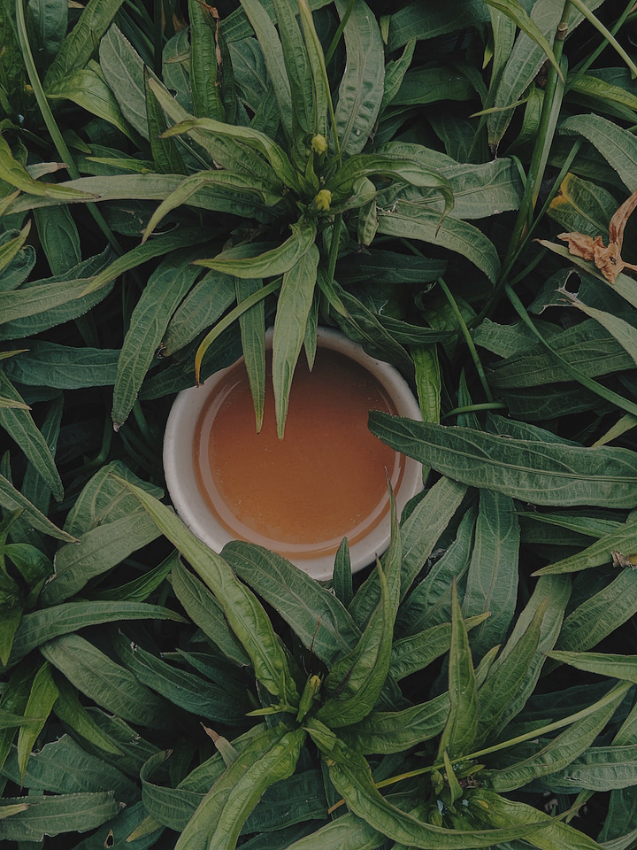 herb3