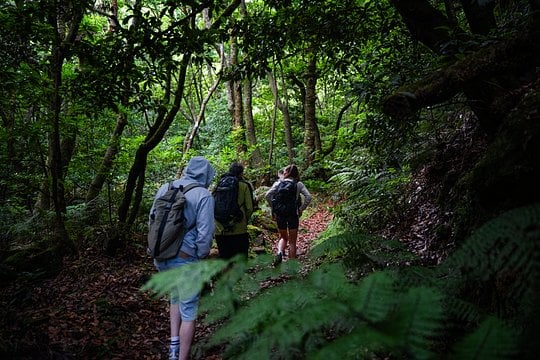 Caminhada na natureza