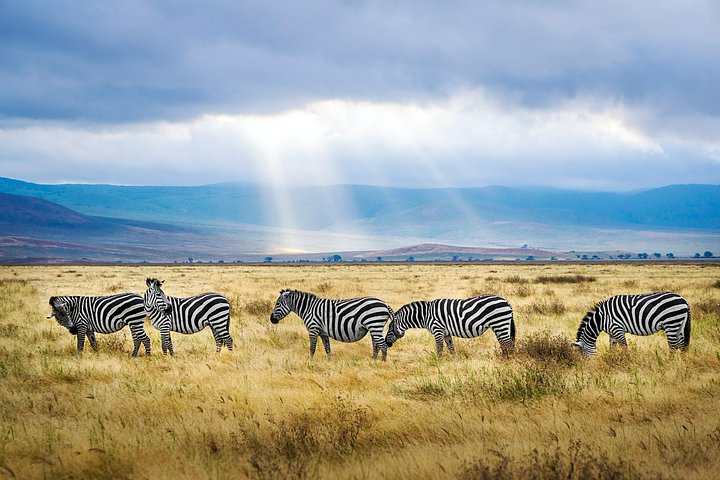 TANZhendrikcornelissenqs4E9t0hJc0unsplash