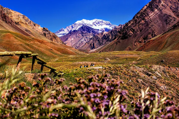 kookoomendozaargentina_compressed