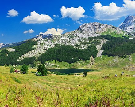 The Landscape