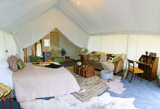 NEW Boutique Safari Suite & V.VIP