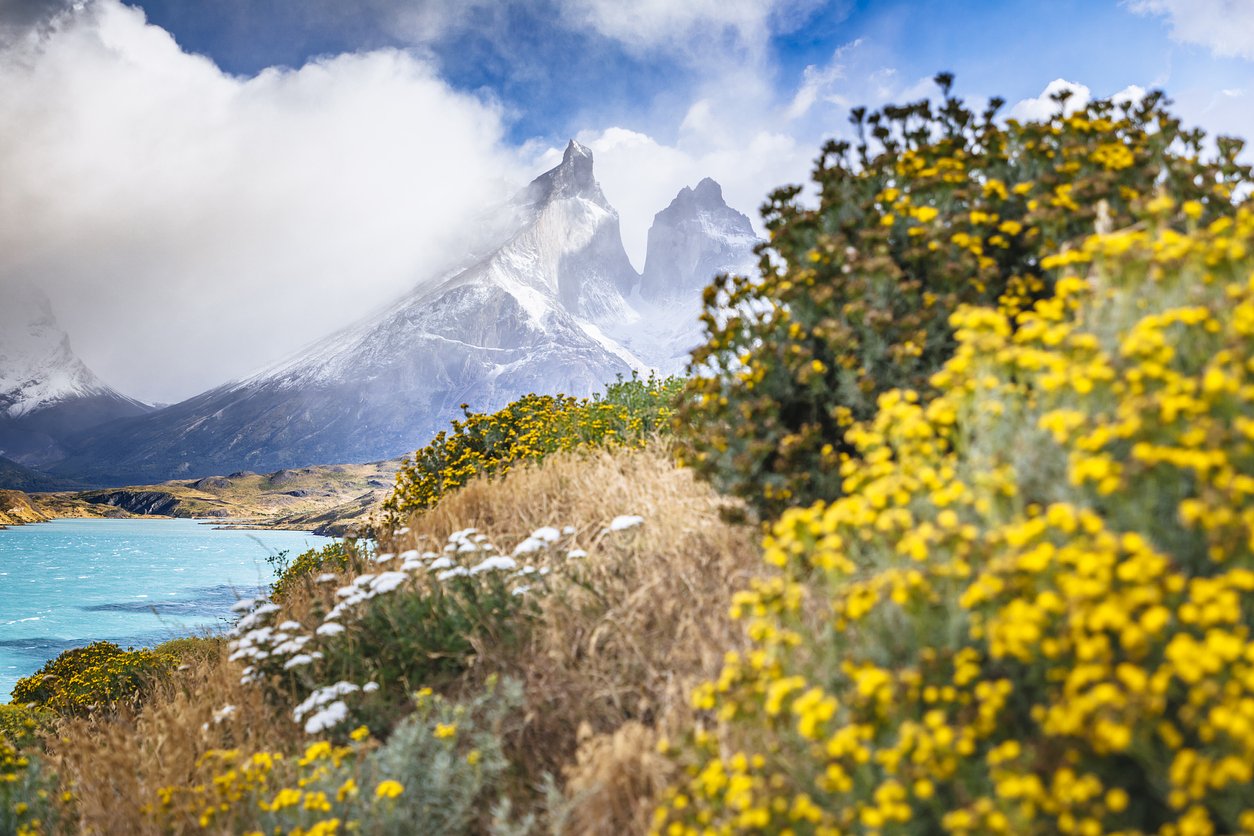 Chile: Santiago and Patagonia