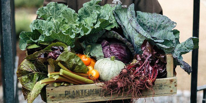 Vegetables_from_the_garden_1600px