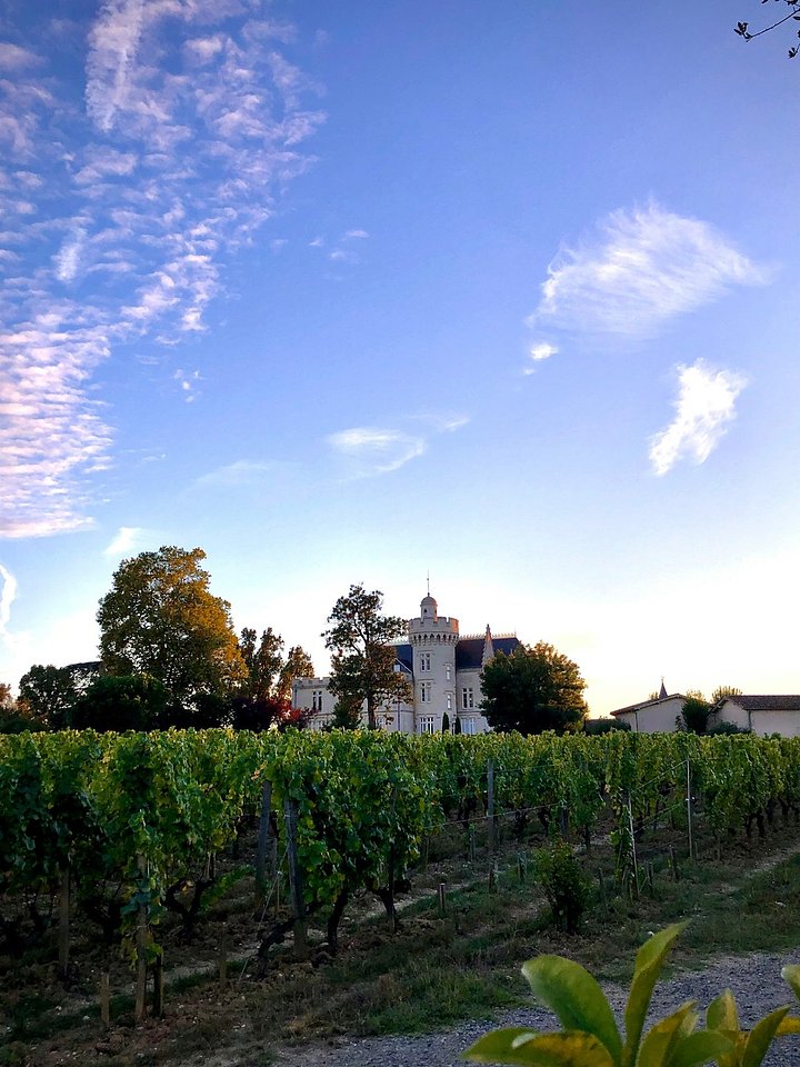 unsettledbasquewinerysolotravelers1