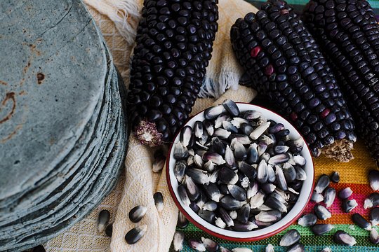 Mexico: Culinary Immersion in Oaxaca