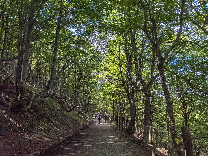 CaminoportuguesStJean_20249