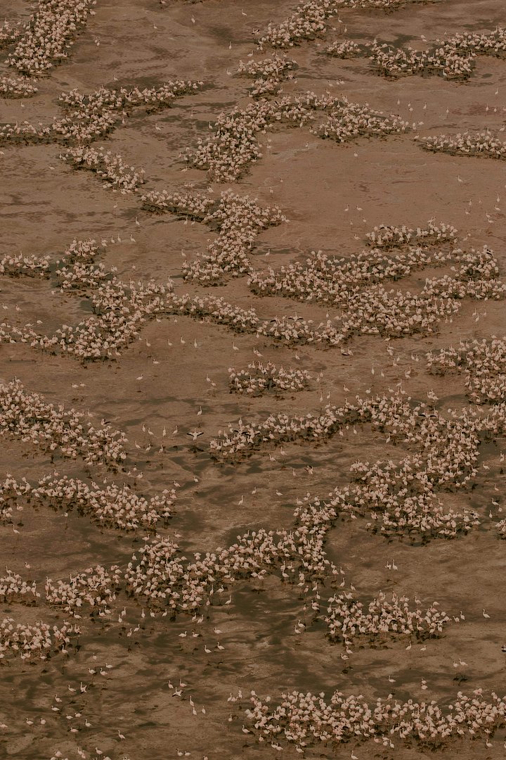 HR_lakenatron1min