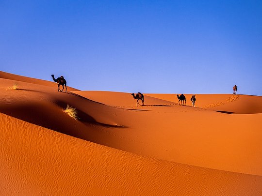 Journey to the Sahara Wellness Adventure in Morocco