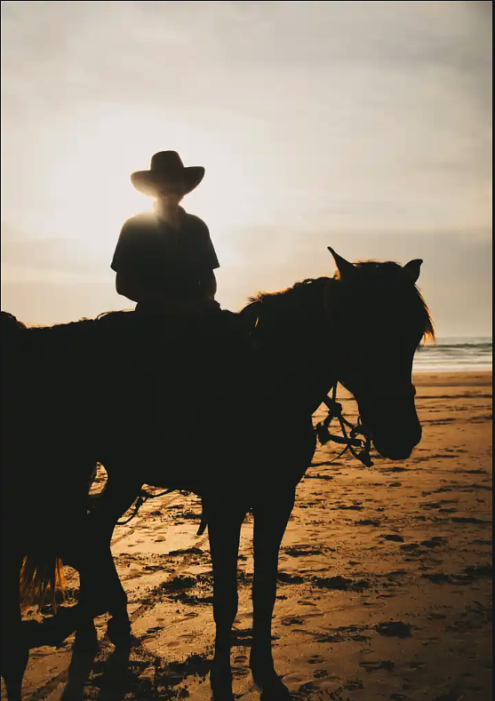 Screenshot20260209at00.27.24