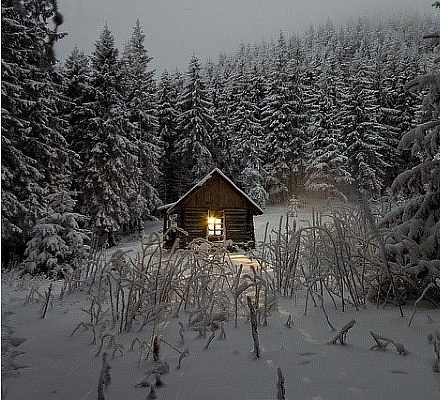 Carpathian Forest