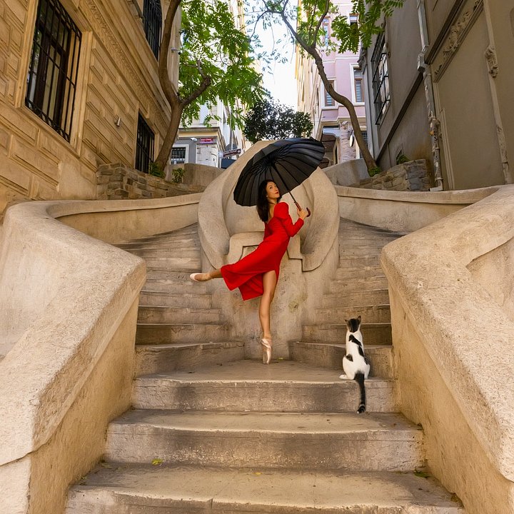 beautifulballerinadancingonoldstonestaircaseandthestraycatpictureid1351108924