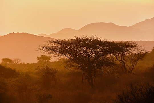 Explore Tsavo Park, Kenya’s largest wilderness area 