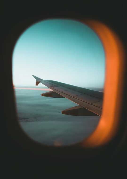 Book a Flight For Me (BUSINESS) 