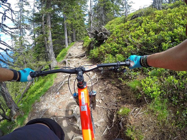 Saalbach_WurzelTrail1