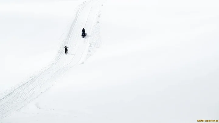 photomubixperiencesnowcatskigeorgierichardpermin28