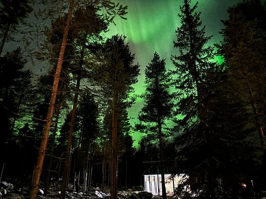 Invisible Forest Lodge
