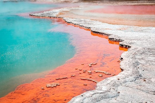 Explore Rotorua, a geothermal wonderland steeped in Maori tradition