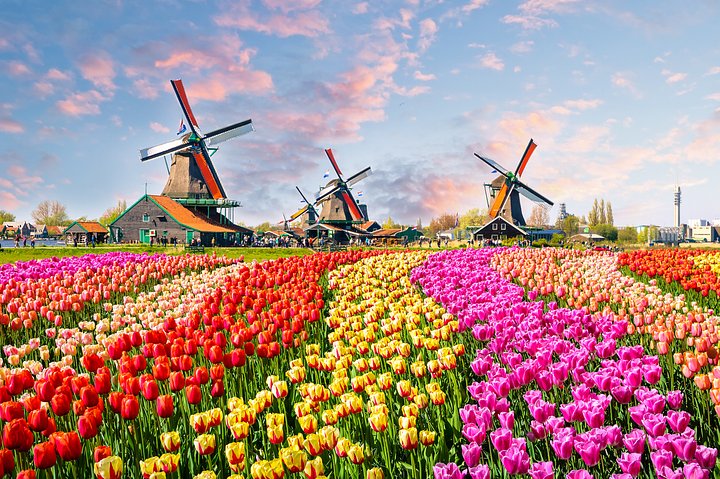 iStock937057490